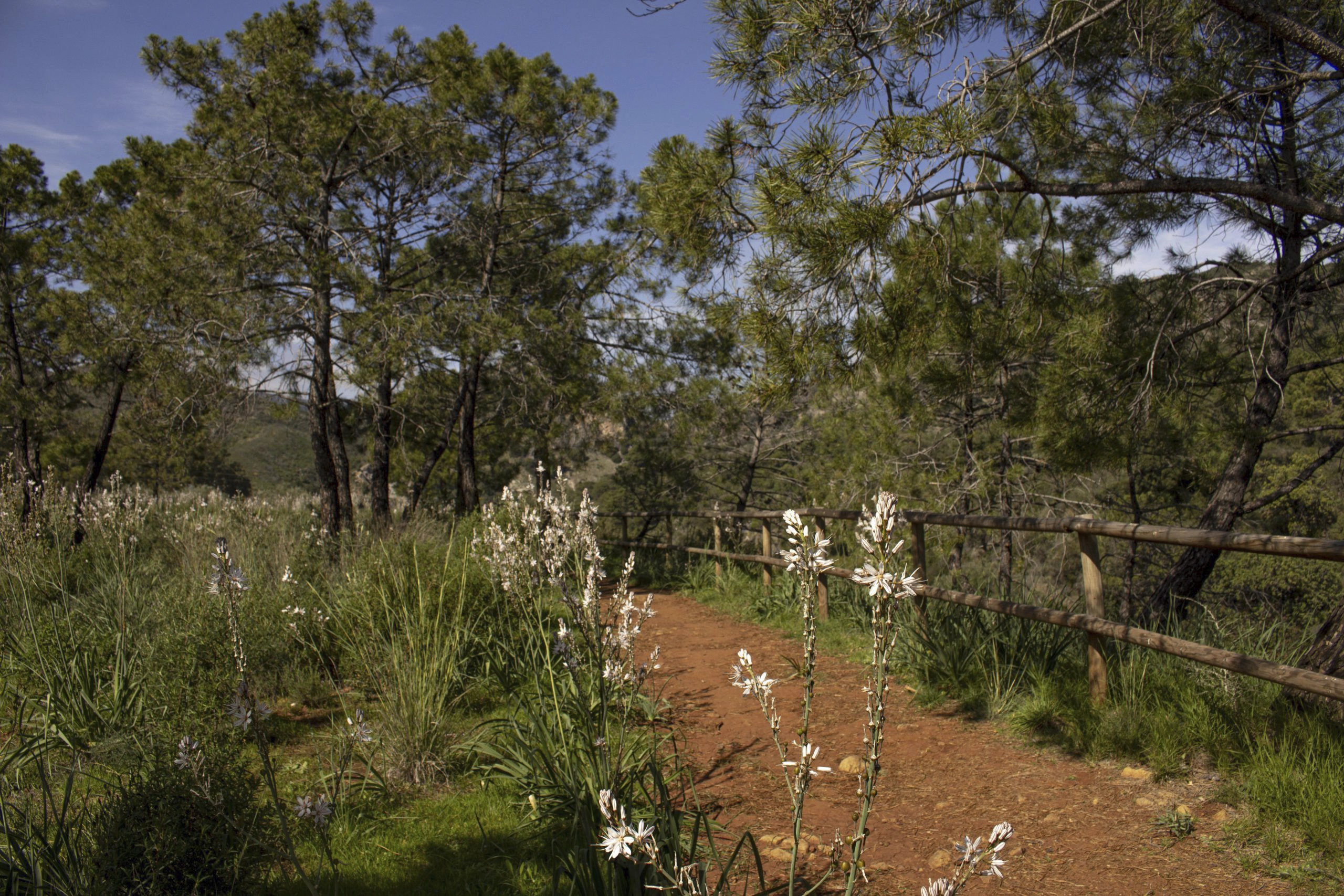 Los Gamones en el Sendero Angosturas de Guadalmina