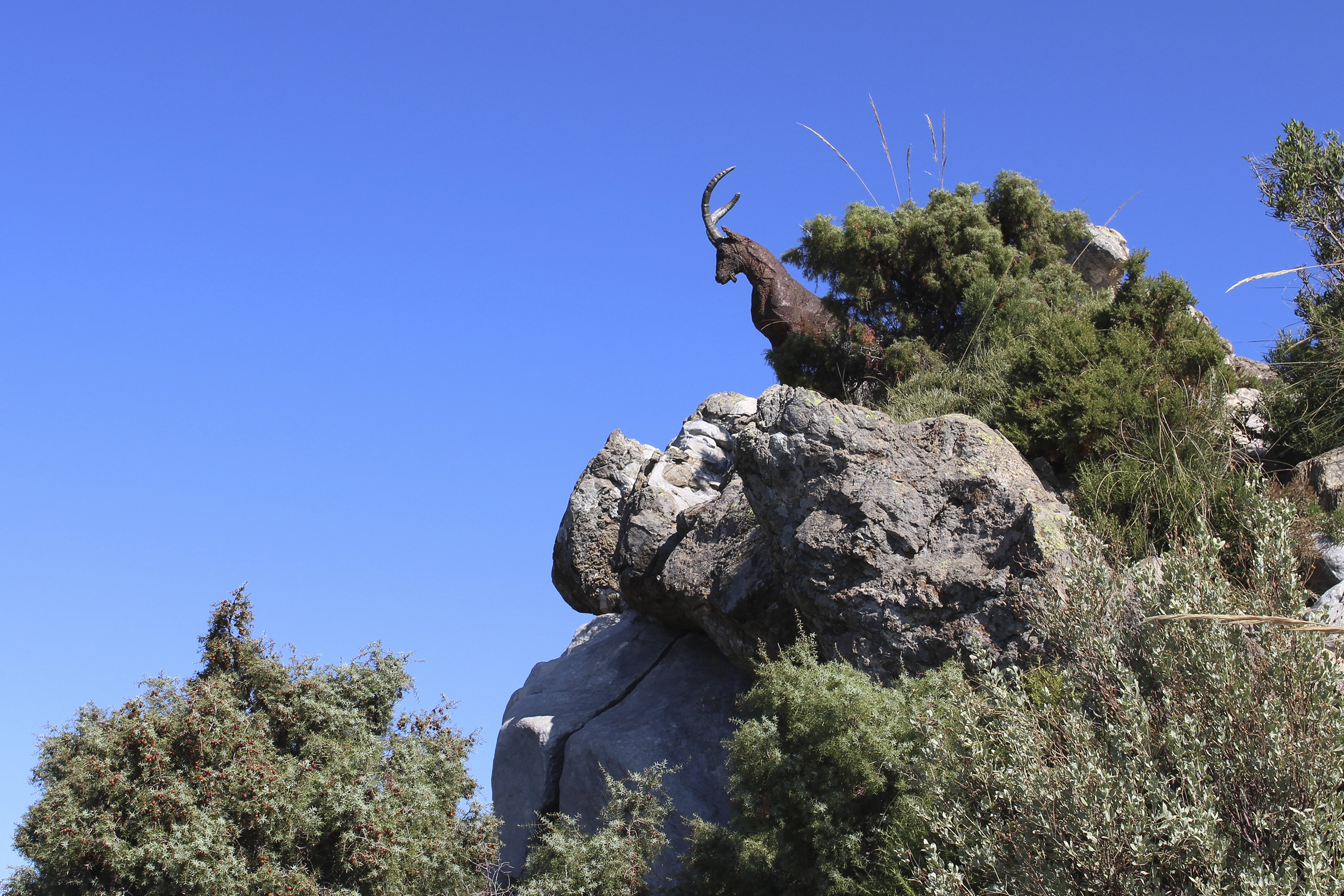 Mirador del Macho Montés - Refugio del Juanar