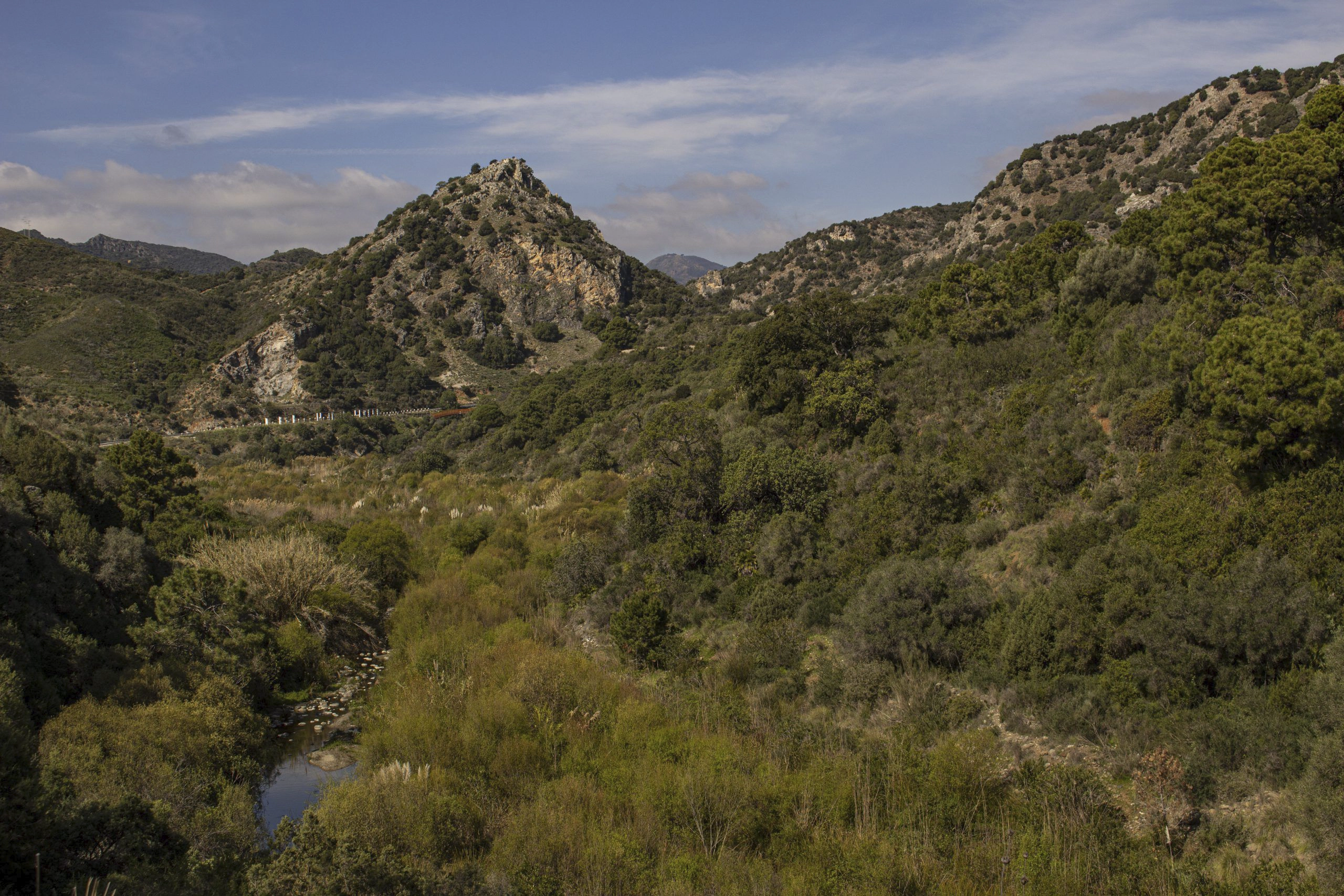 Panorámica del Río Guadalmina y el Monte Mayor.