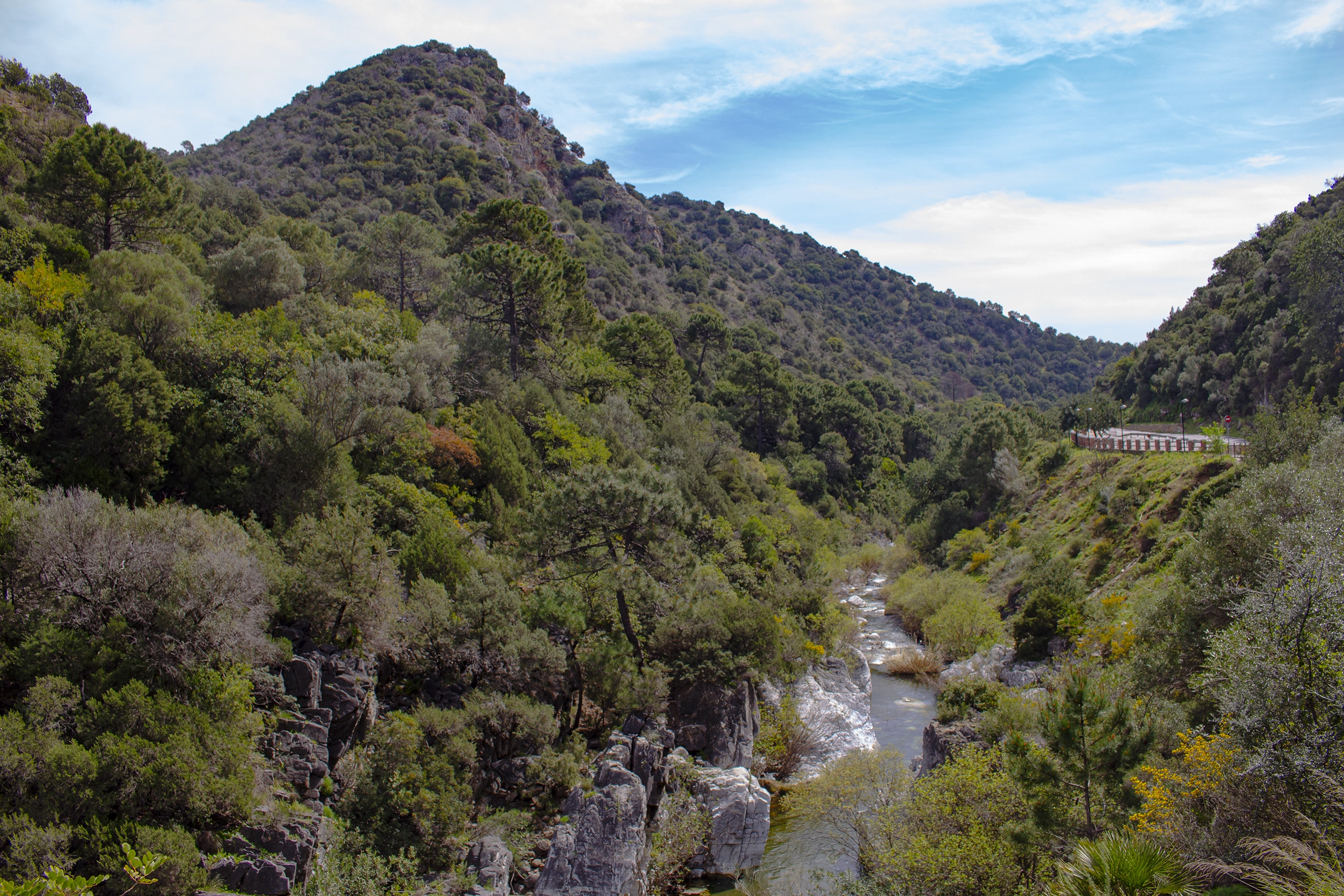 Río Guadalmina