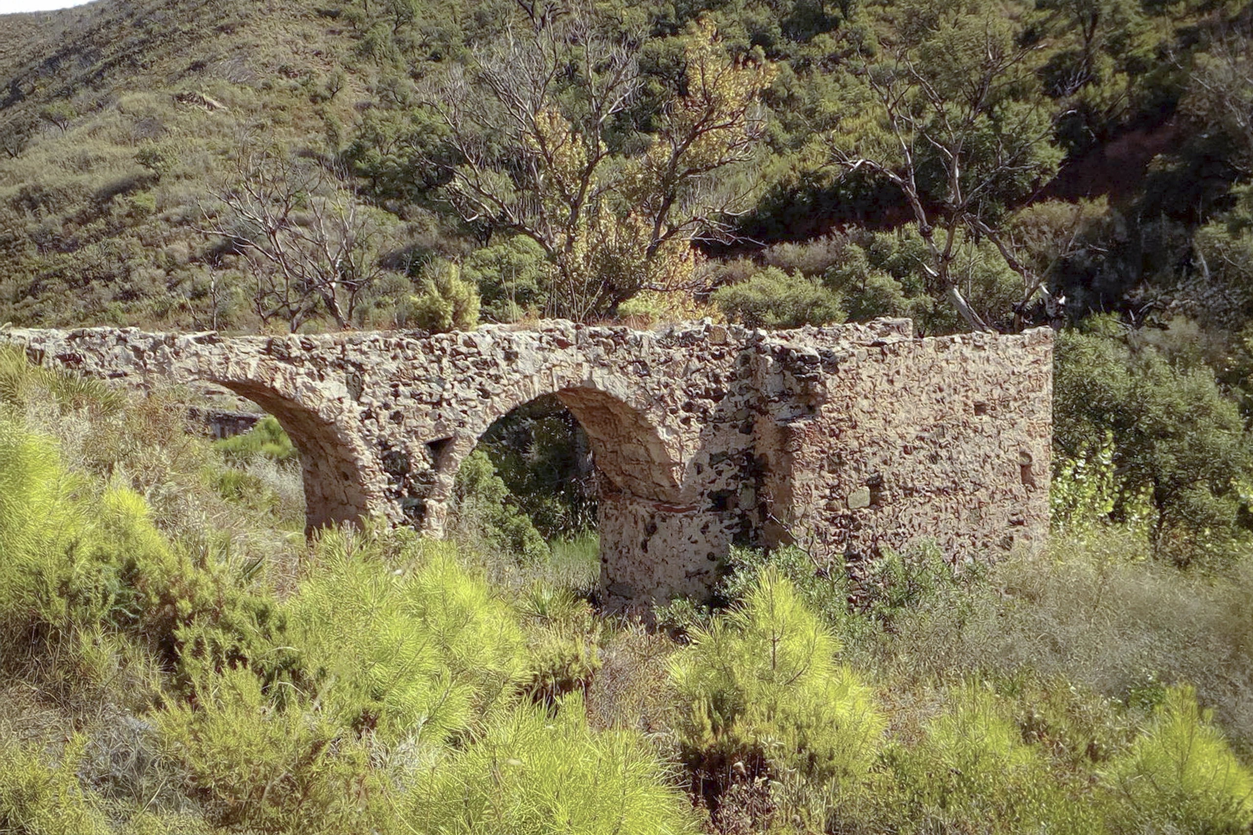 Ruina Acequia - La Mairena