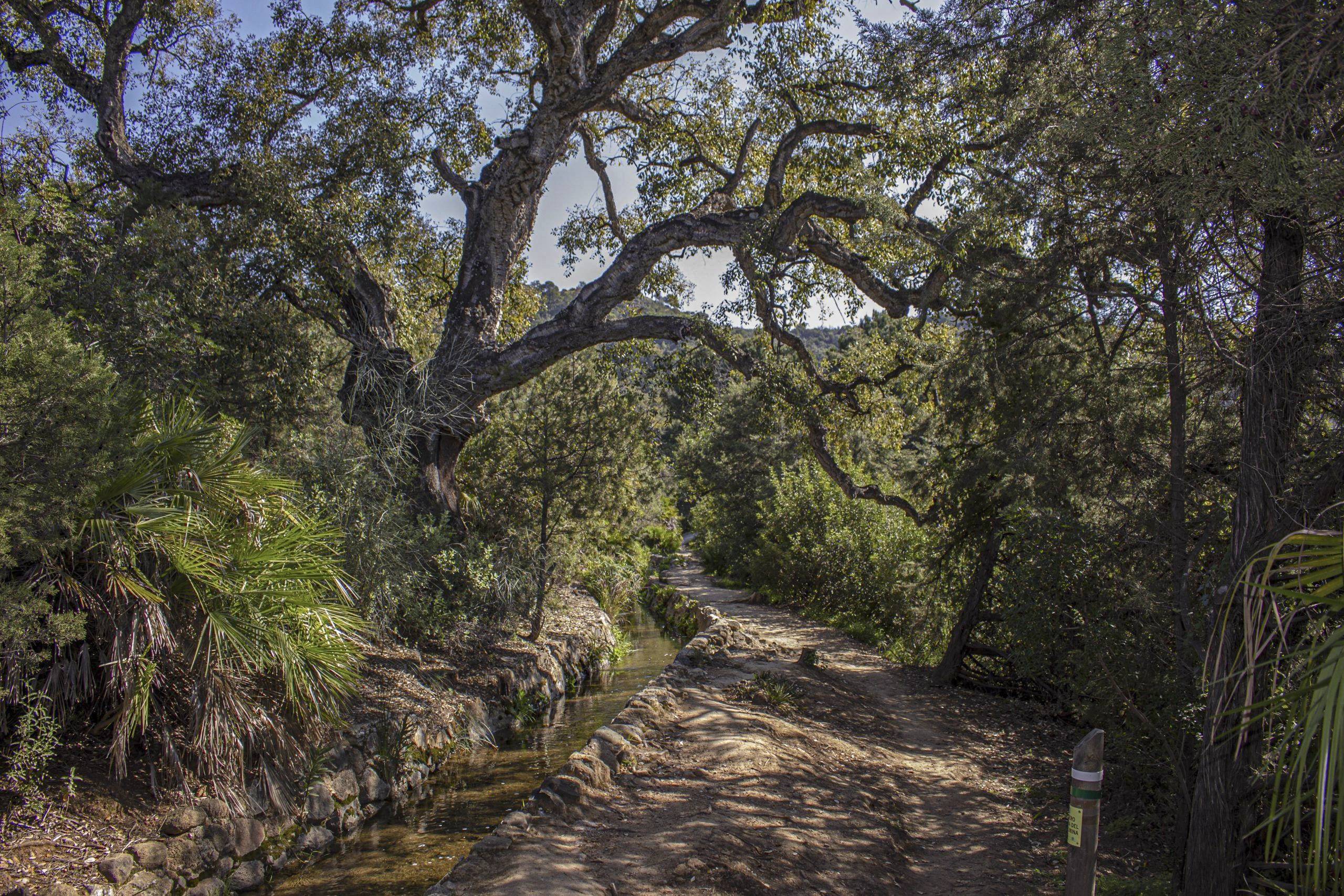 Sendero Acequia del Guadalmina