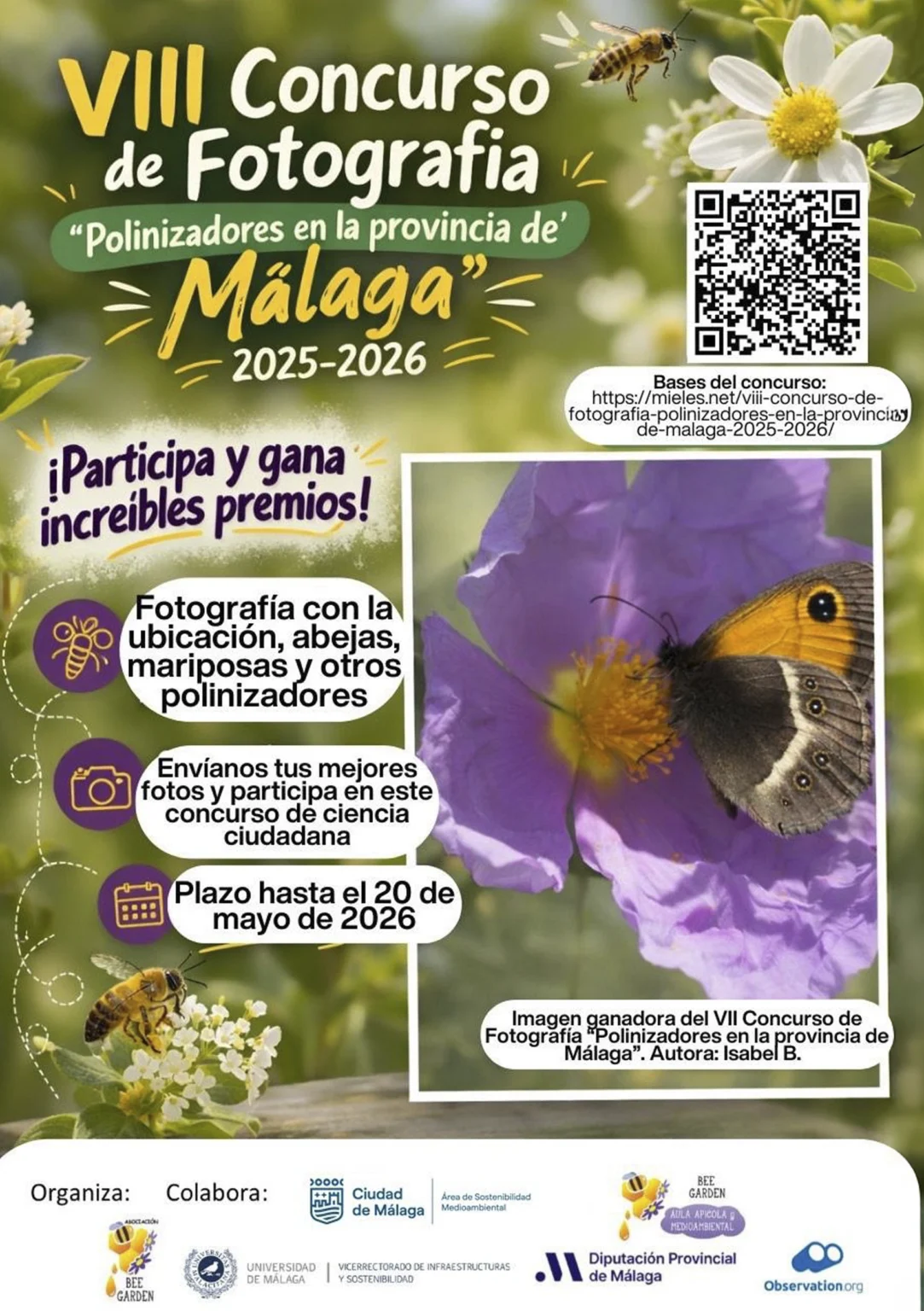 Cartel VIII Concurso de Fotografía “Polinizadores en la provincia de Málaga”