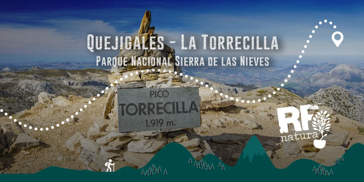 La Torrecilla desde Quejigales - por el Cuerno y las Ánimas