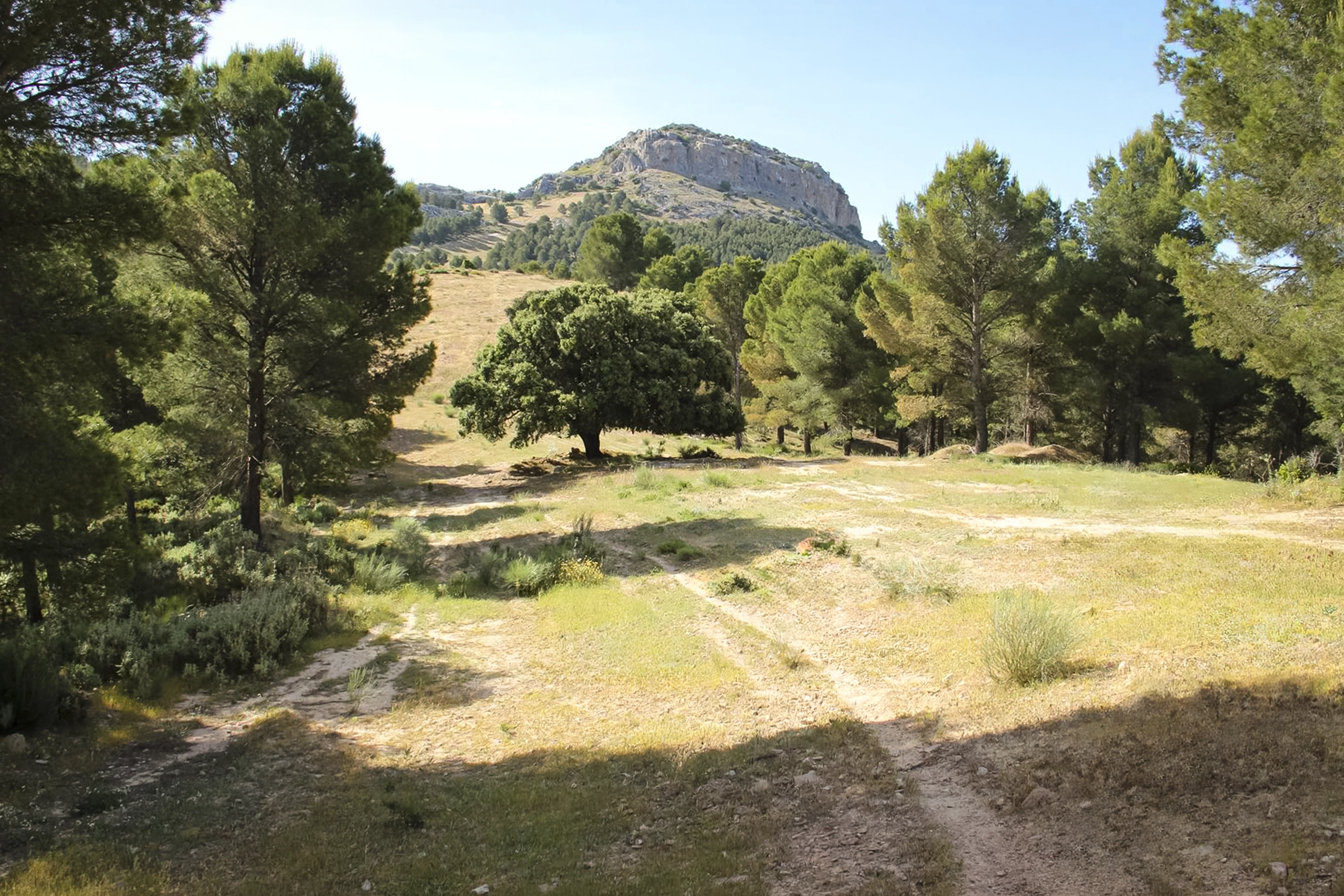 Almorchón de Gutiérrez