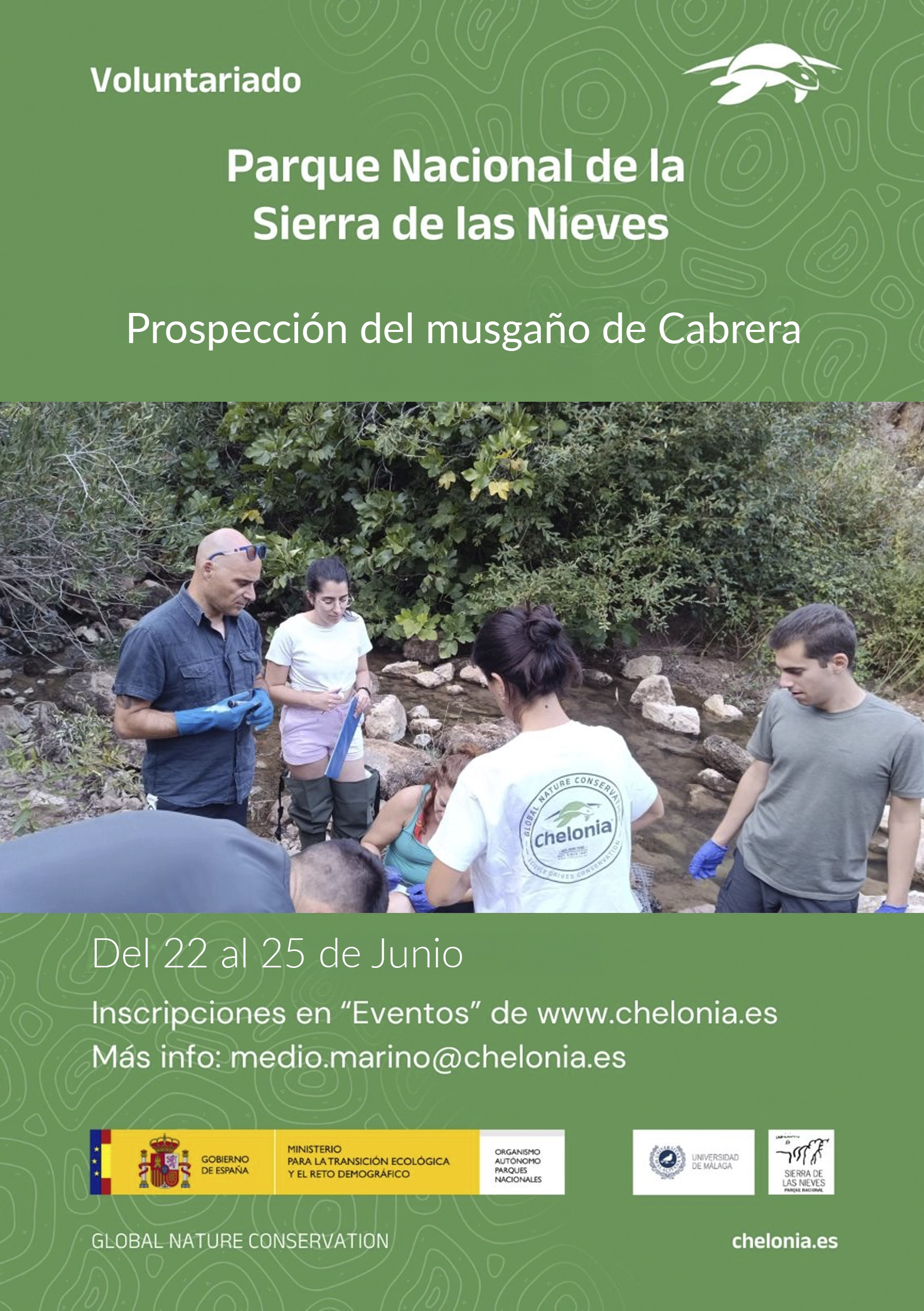 Cartel Oficial Voluntariado - Prospección del Musgaño de Cabrera