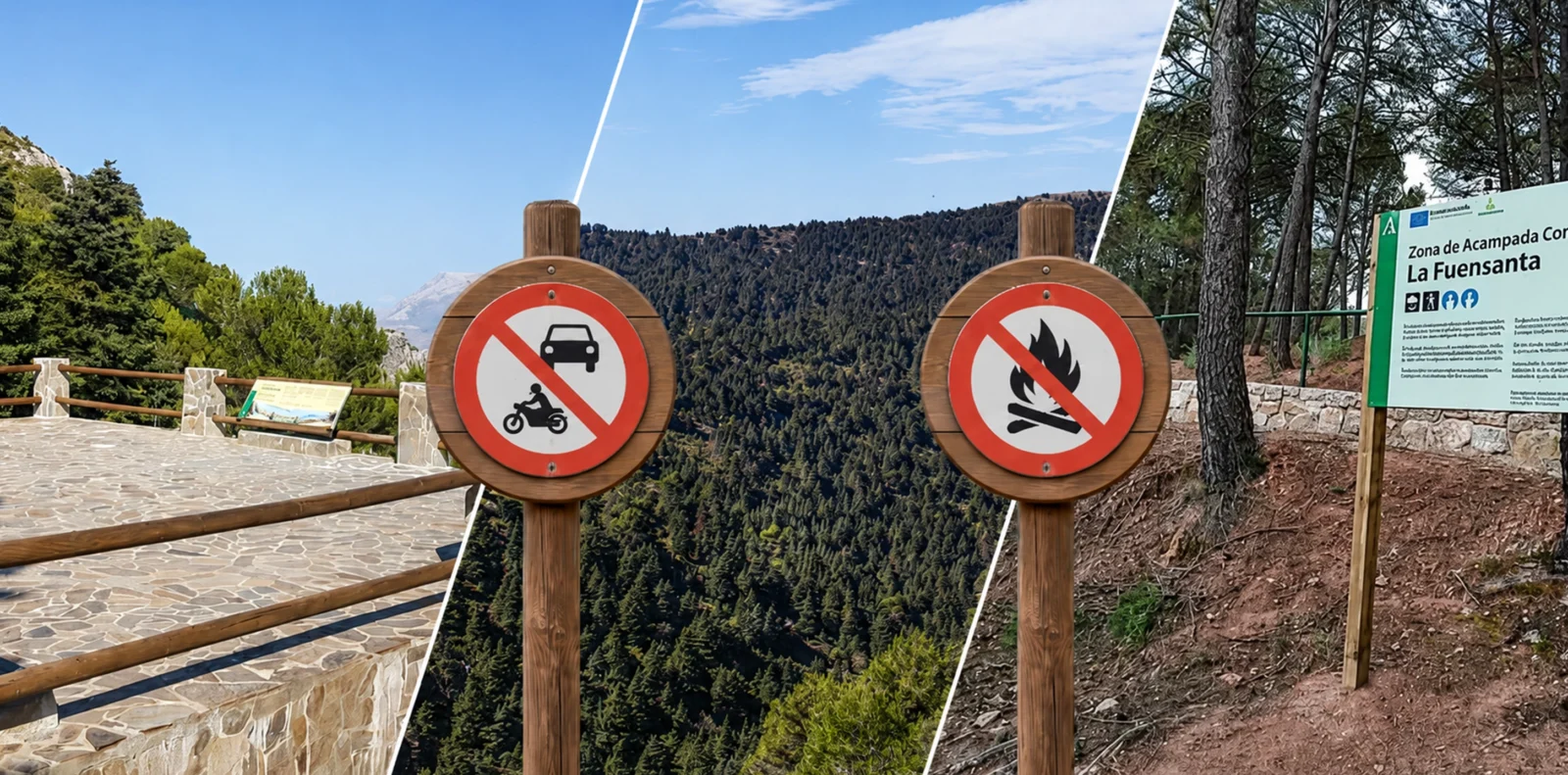 Cierran al tráfico los principales accesos a los pinsapares y la zona de acampada de La Fuensanta por riesgo de incendios
