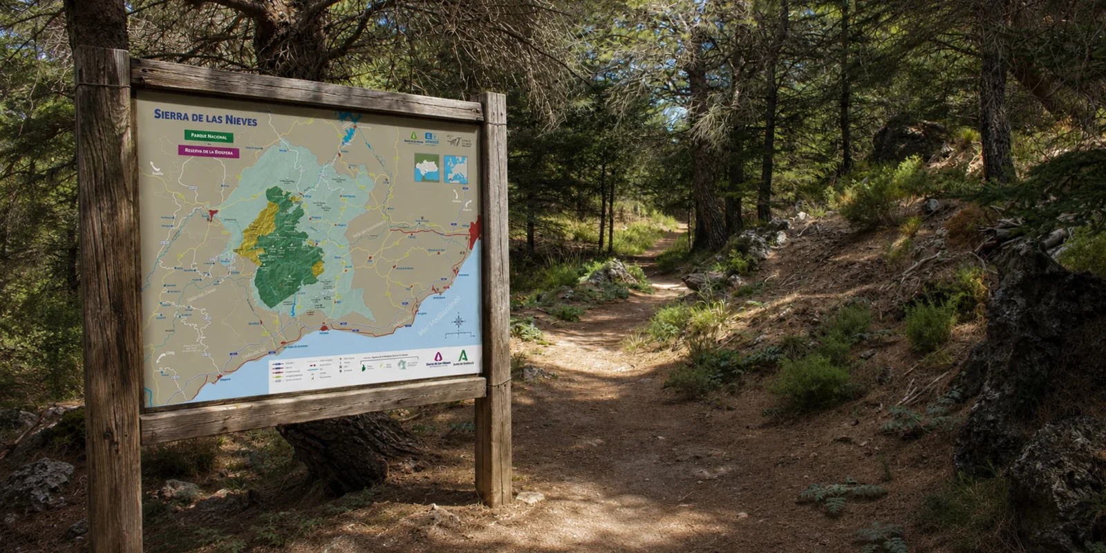 La UNESCO aprueba la ampliación de la Reserva de la Biosfera Sierra de las Nieves y actualiza su denominación