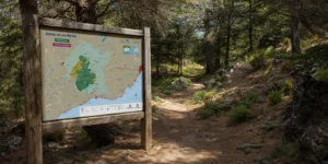 La UNESCO aprueba la ampliación de la Reserva de la Biosfera Sierra de las Nieves y actualiza su denominación