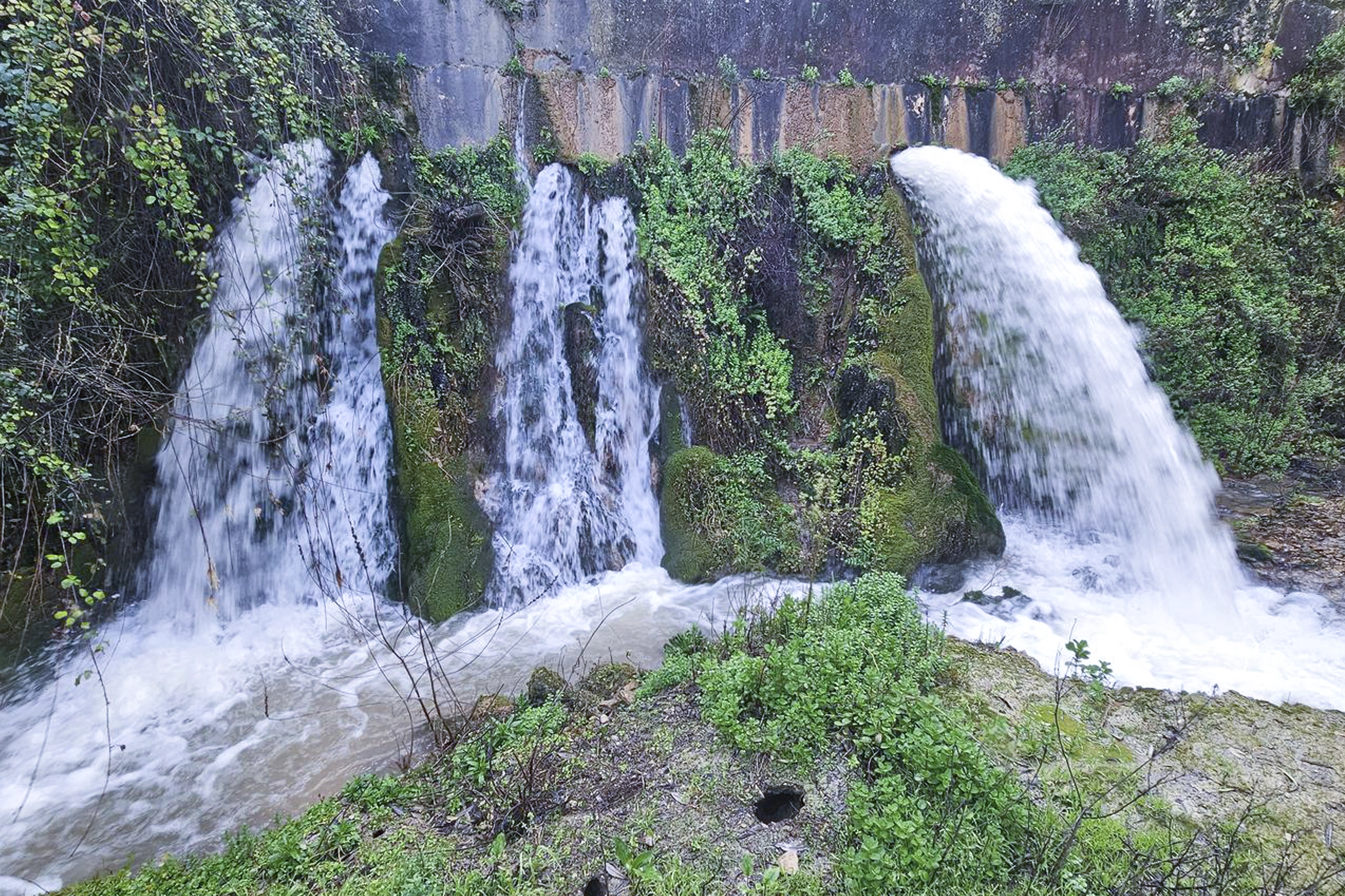 Nacimiento del Río Cañamero
