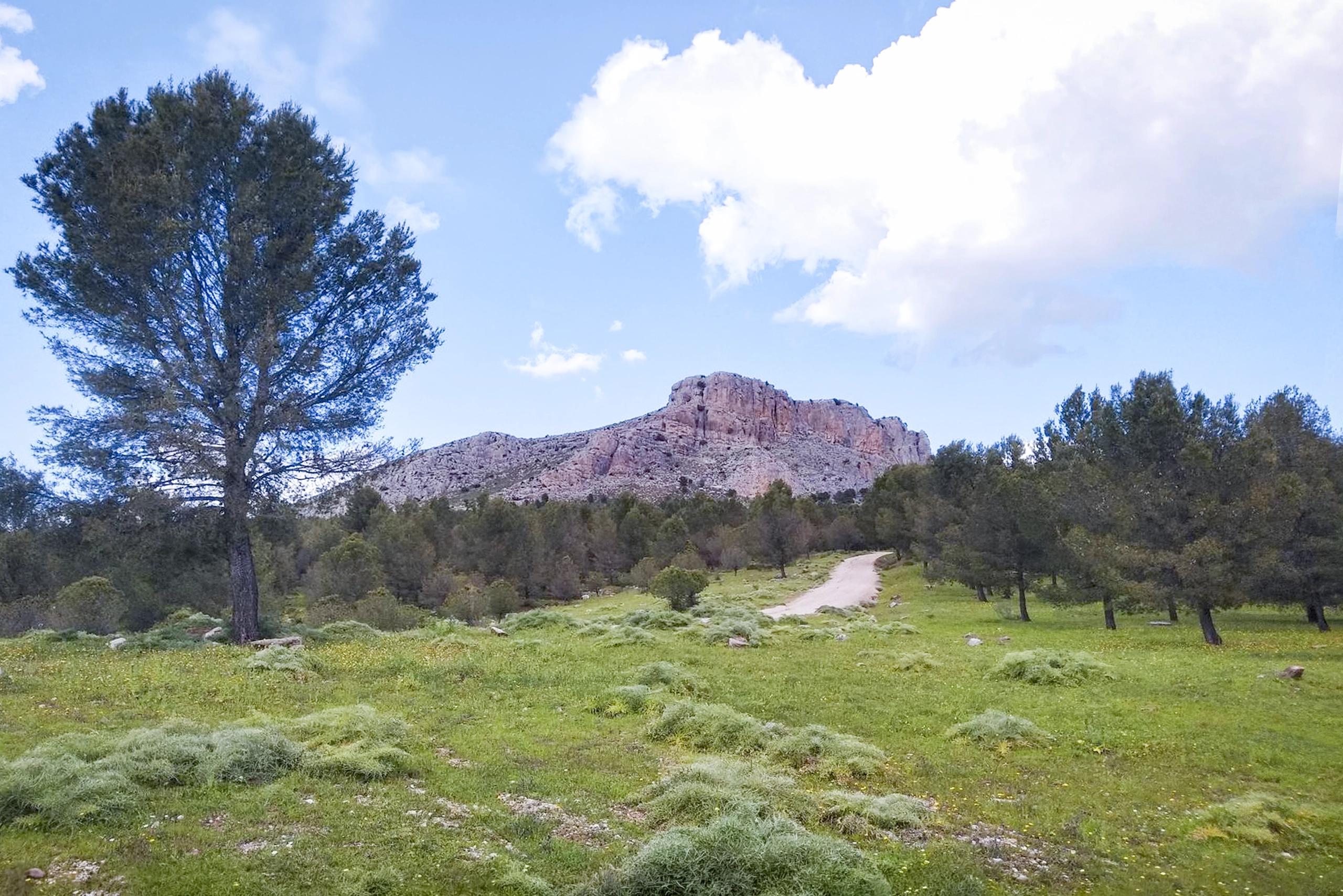 Sierra de Ortegícar - Cañete de la Real