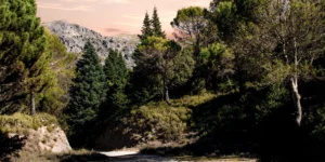 Sierra de las Nieves celebra cinco años como Parque Nacional: el tesoro natural de Andalucía que conquistó la máxima protección