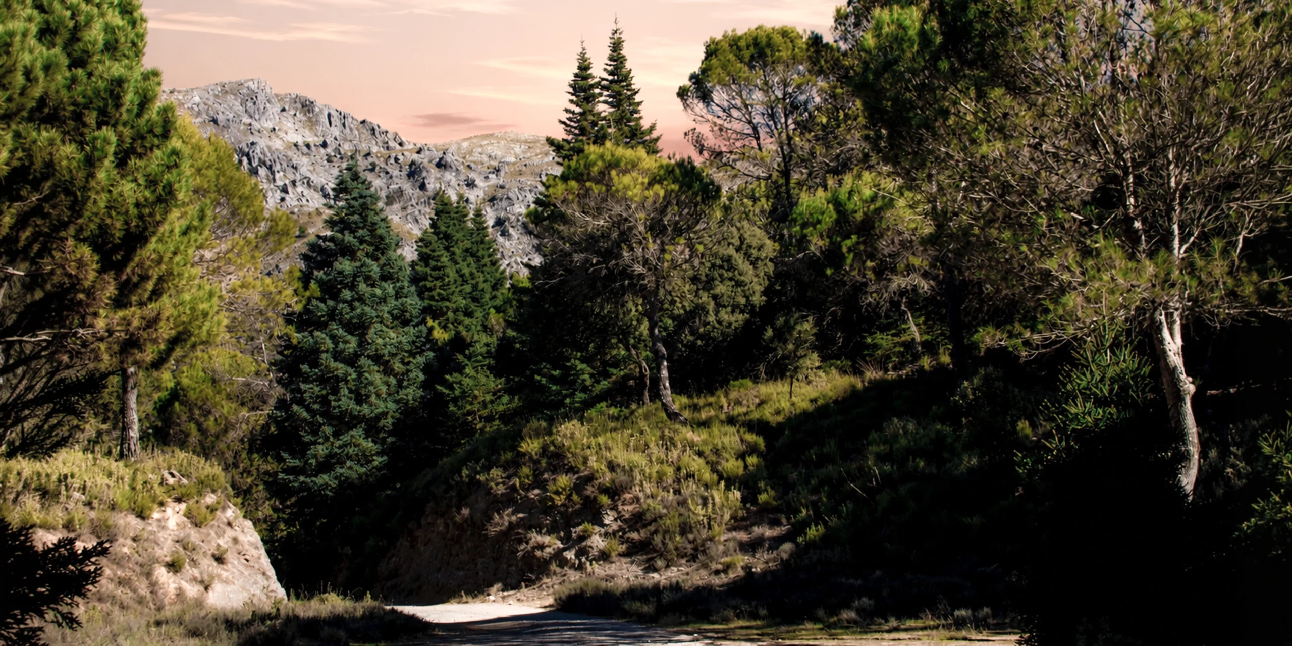 Sierra de las Nieves celebra cinco años como Parque Nacional: el tesoro natural de Andalucía que conquistó la máxima protección Sierra de las Nieves celebra cinco años como Parque Nacional: el tesoro natural de Andalucía que conquistó la máxima protección