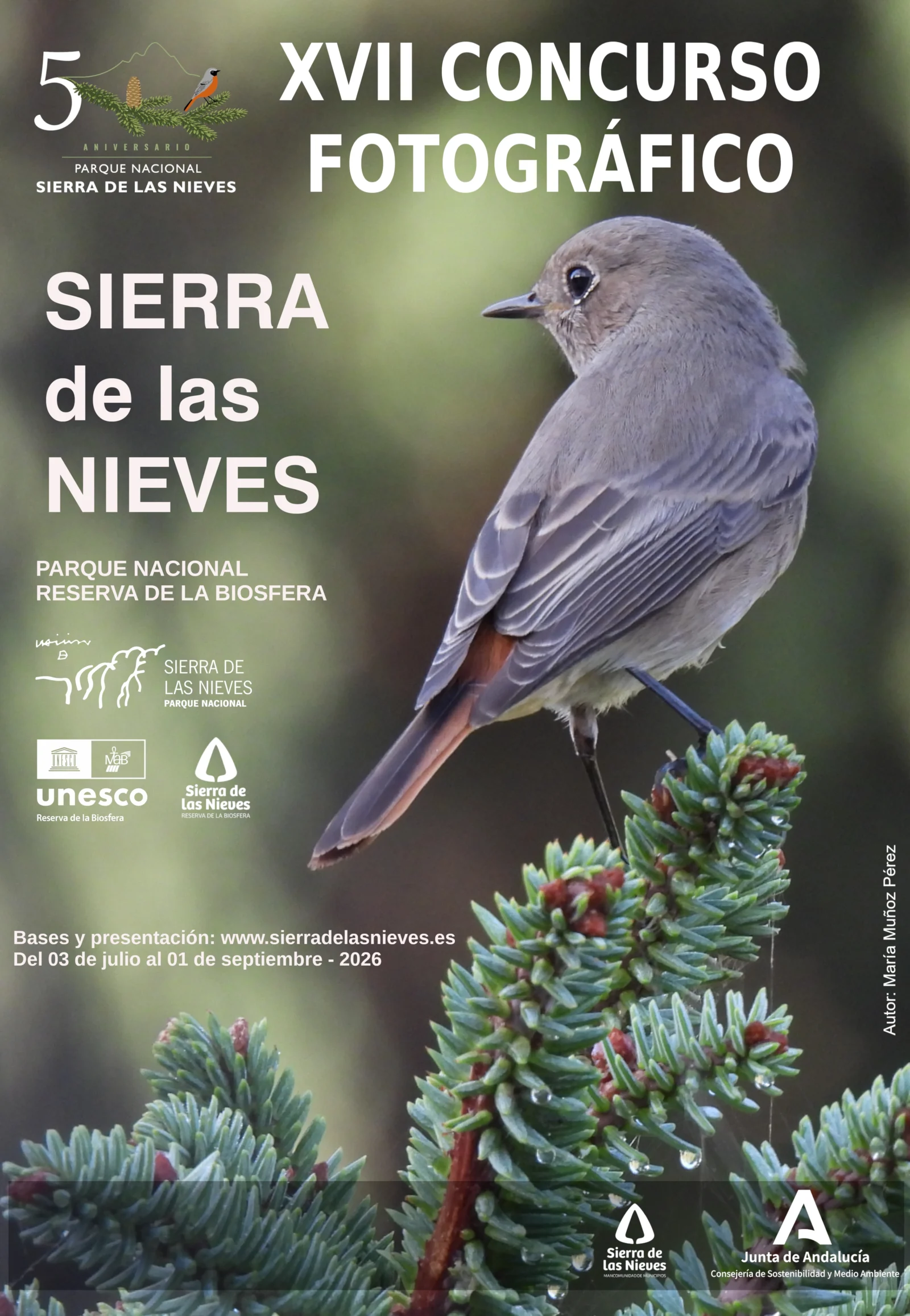 Cartel Oficial Concurso SN 2026