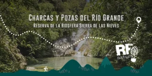 Charcas y Pozas del Río Grande: una experiencia para descubrir la Sierra de las Nieves con RF Natura