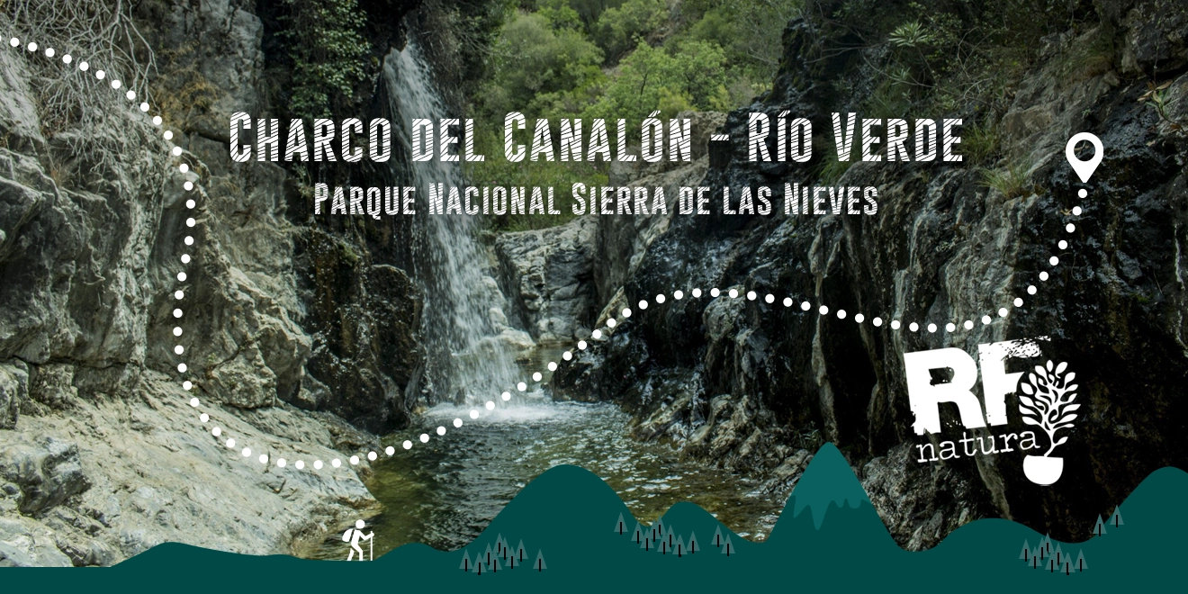 RF Natura propone una refrescante aventura por Río Verde hasta el Charco del Canalón