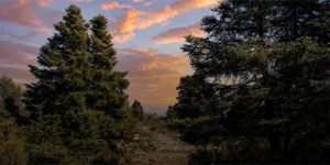 El día de los Parques Nacionales: la naturaleza encuentra su refugio en la Sierra de las Nieves