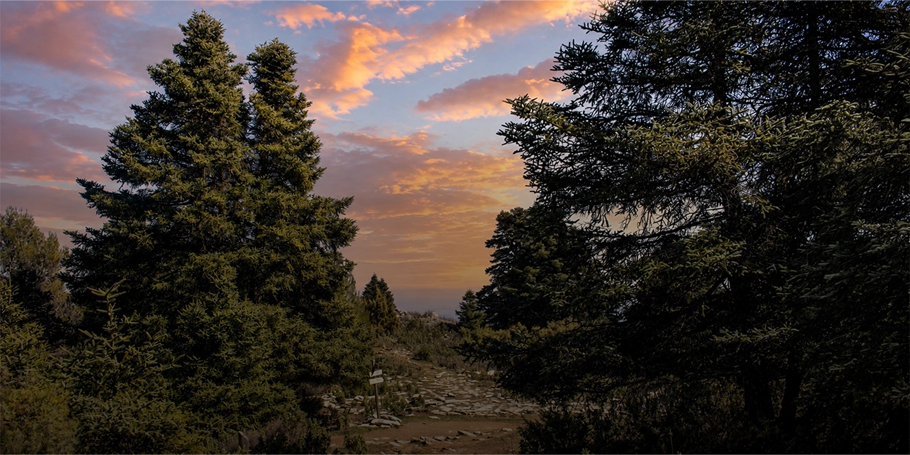 El día de los Parques Nacionales: la naturaleza encuentra su refugio en la Sierra de las Nieves