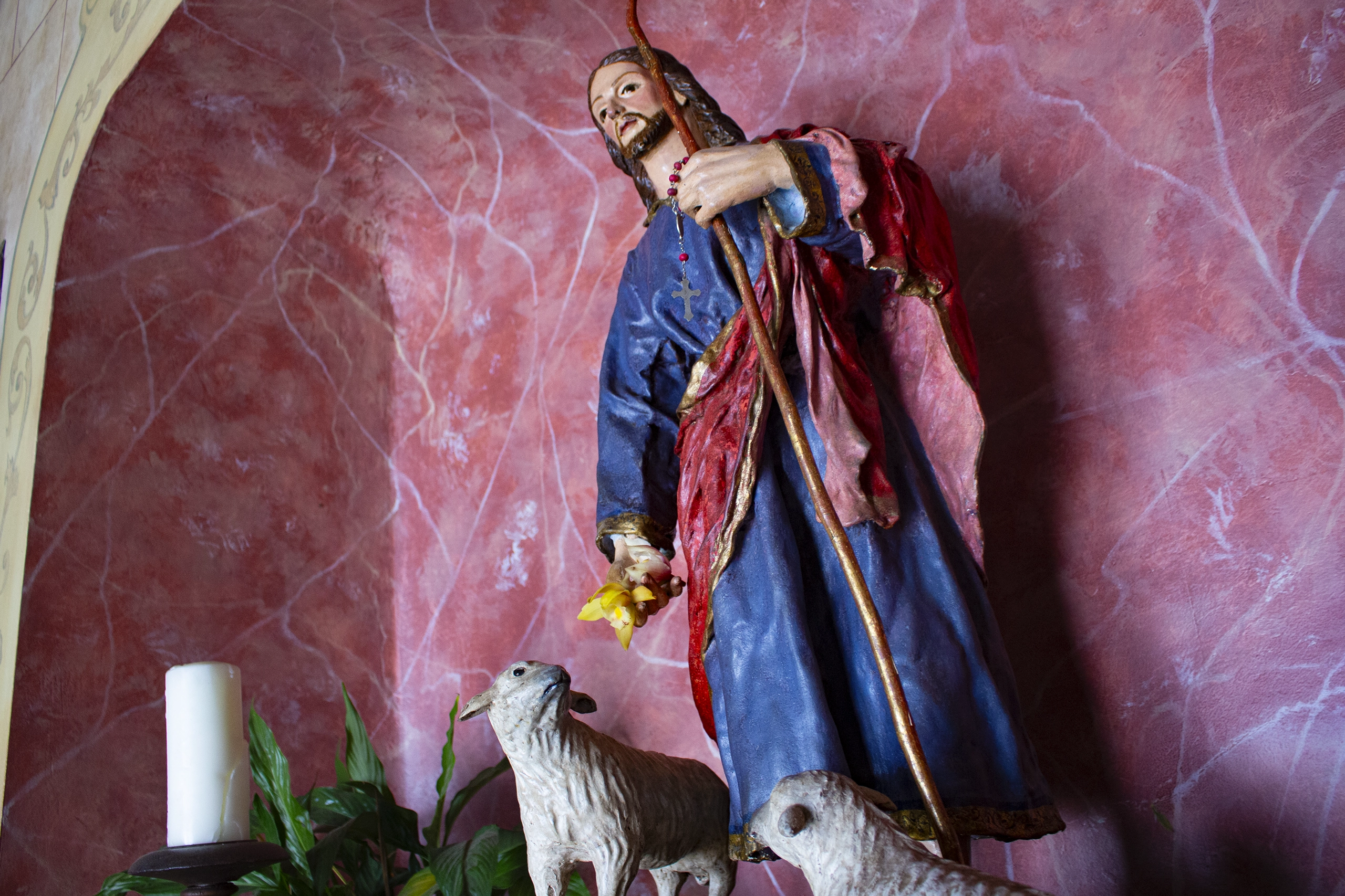 Divino Pastor
