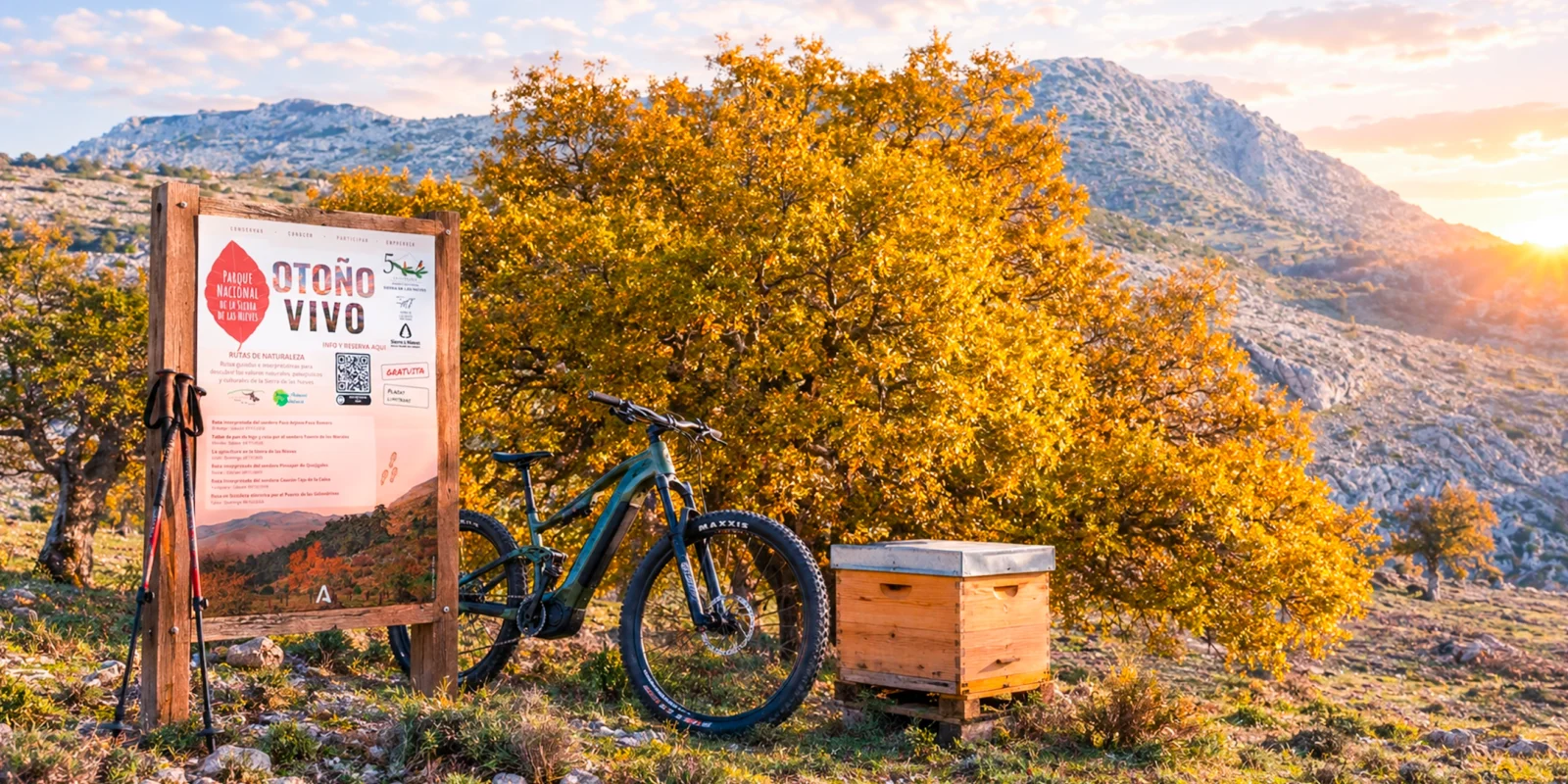 Otoño Vivo: El Parque Nacional de la Sierra de las Nieves celebra su 5º aniversario con actividades gratuitas