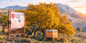 Otoño Vivo: El Parque Nacional de la Sierra de las Nieves celebra su 5º aniversario con actividades gratuitas