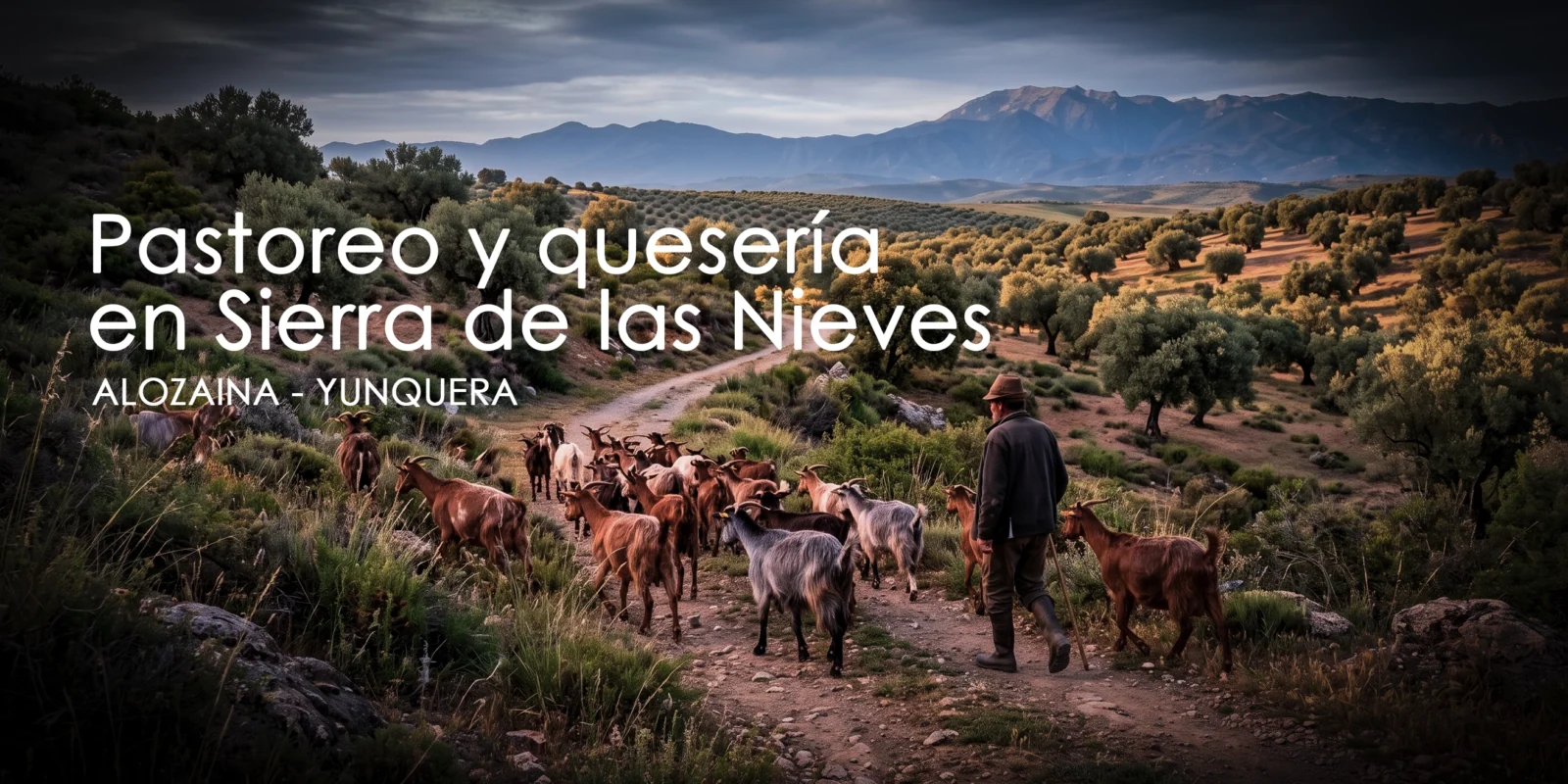 Pastoreo y quesería en Sierra de las Nieves