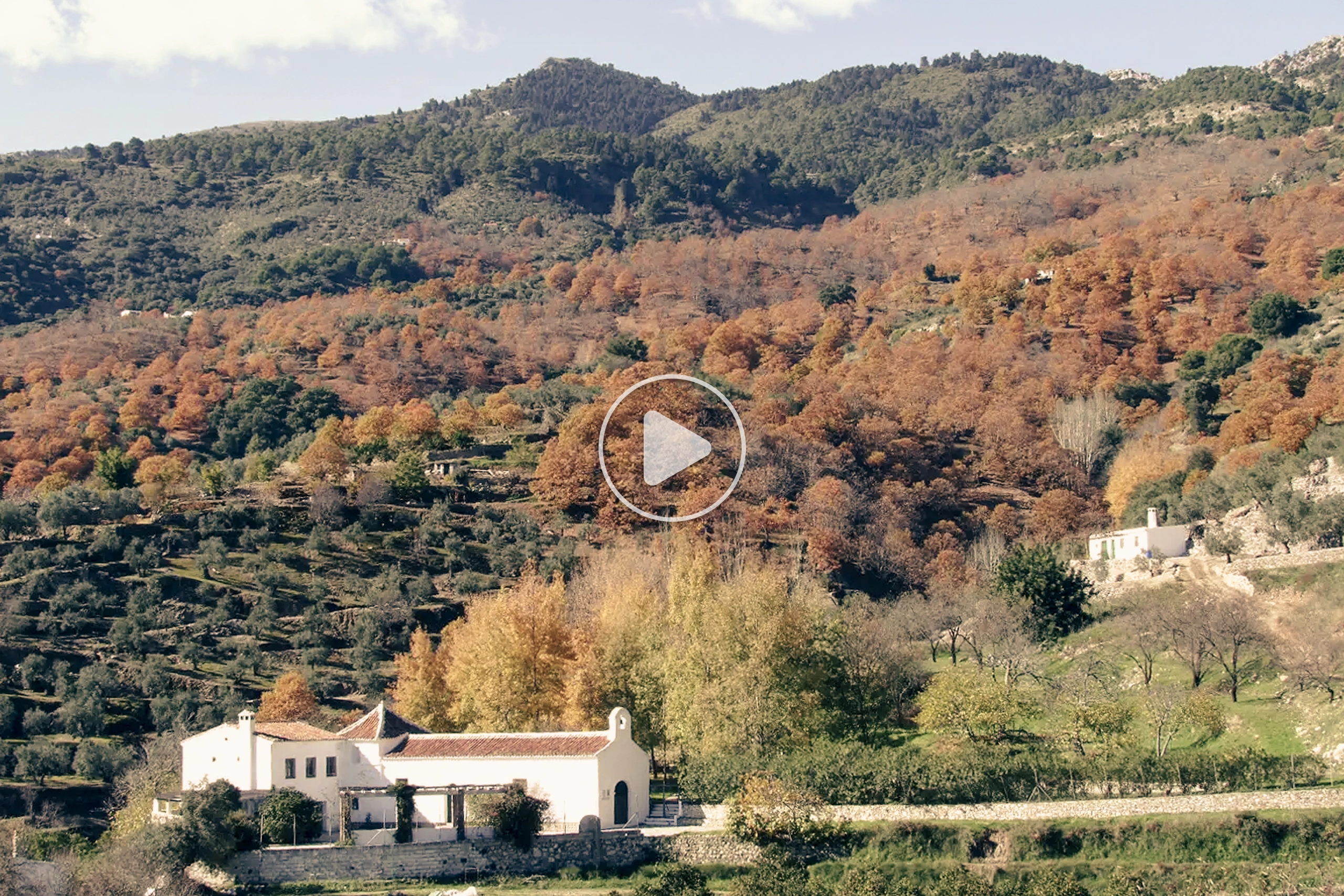 Video Castañar de Yunquera