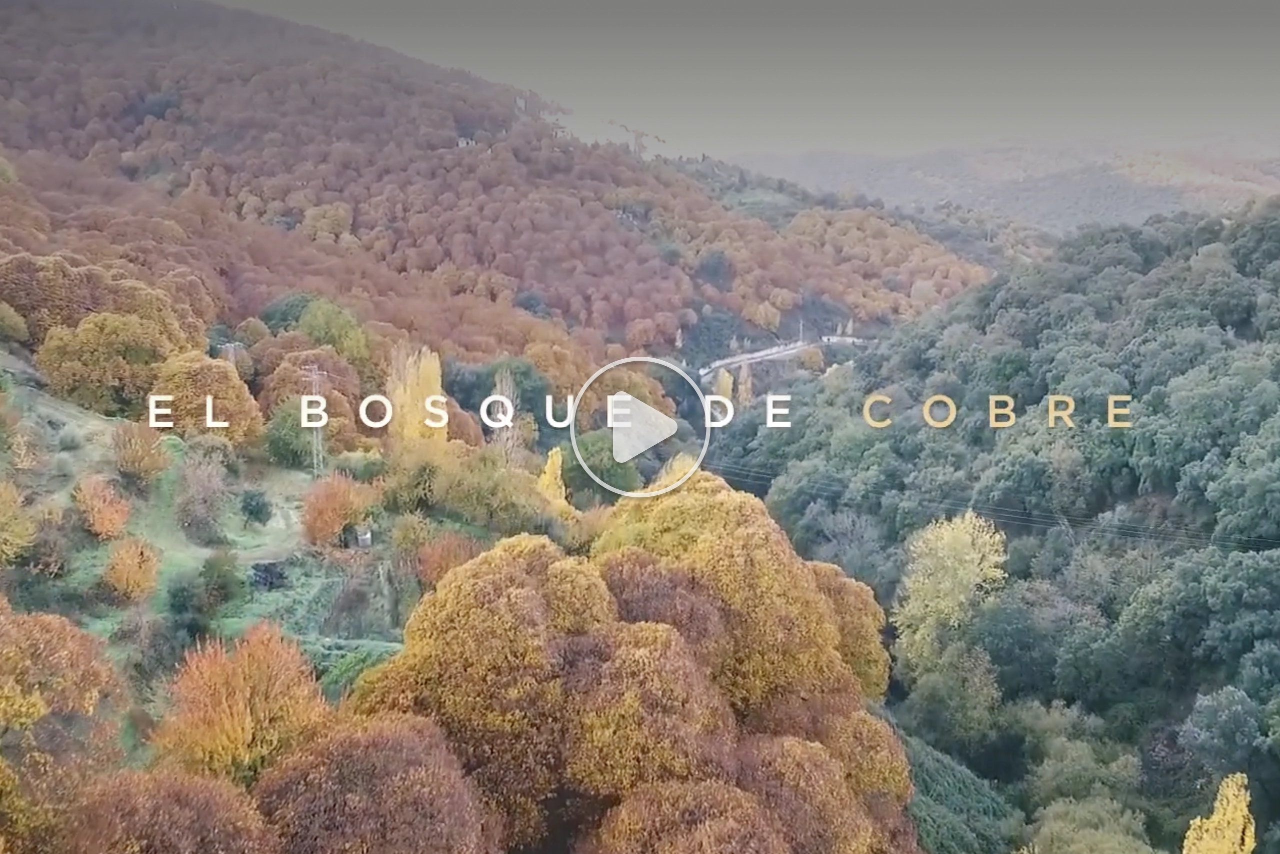 Video Oficial Bosque de Cobre