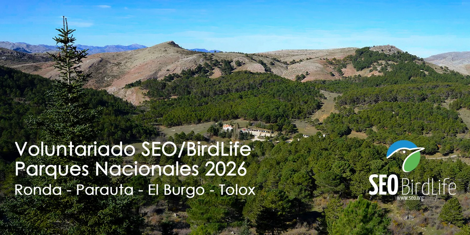 Voluntariado en el Parque Nacional Sierra de las Nieves: conservar la montaña, paso a paso