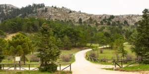 La situación de los accesos en la Sierra de las Nieves este 16 de octubre