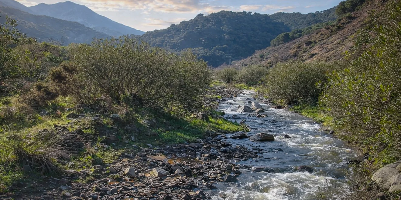 Arroyo de la Alpujata