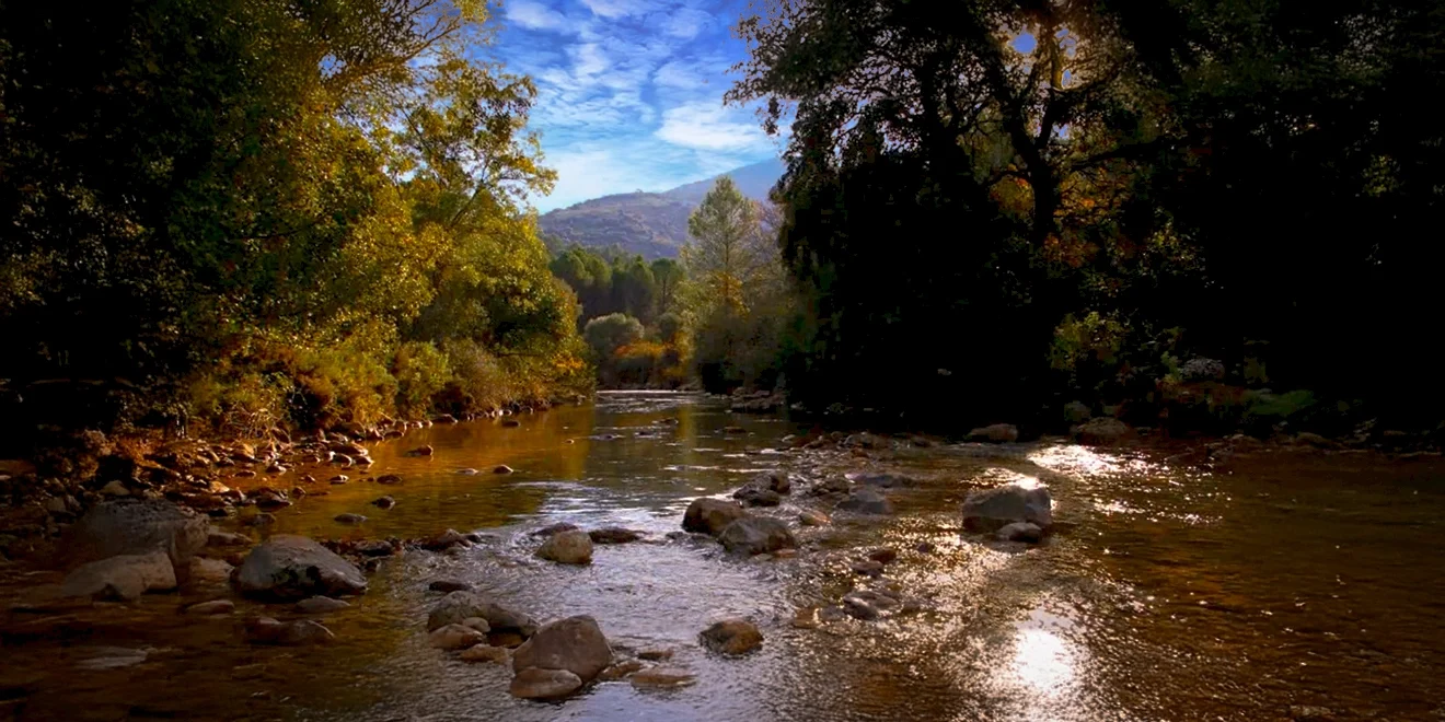 la confluencia del arroyo de la Higuera con el río Turón