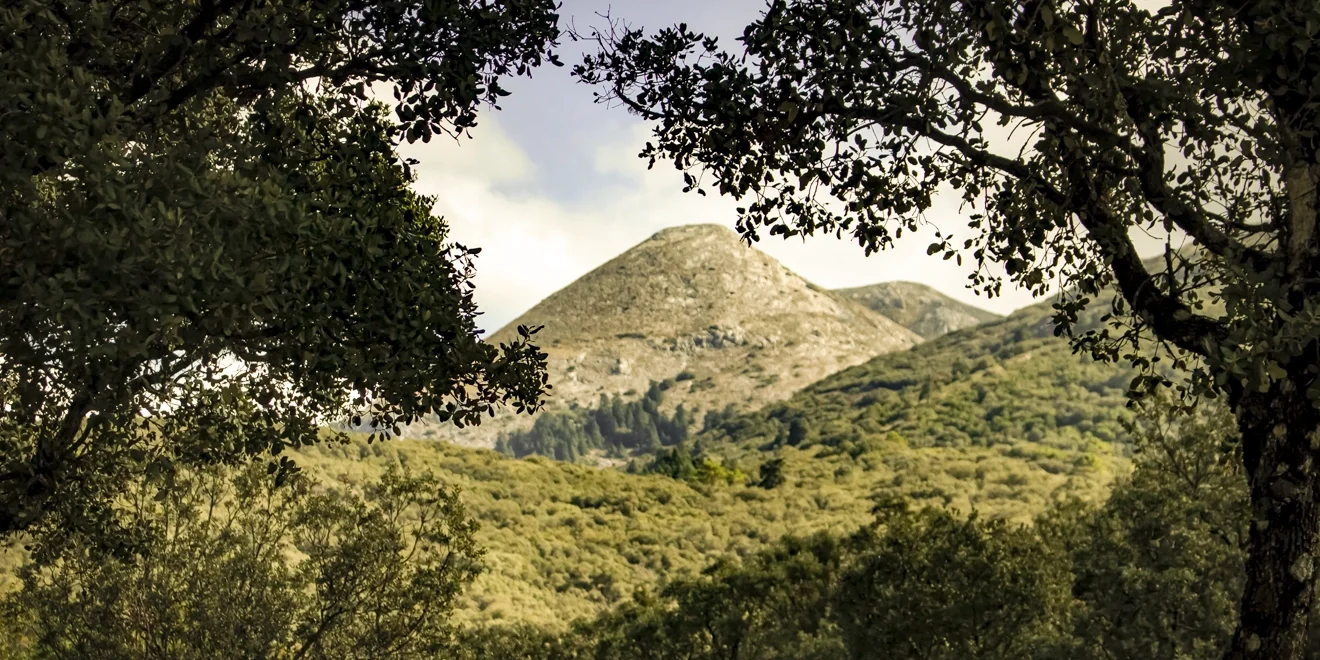 PN Parauta-Conejeras