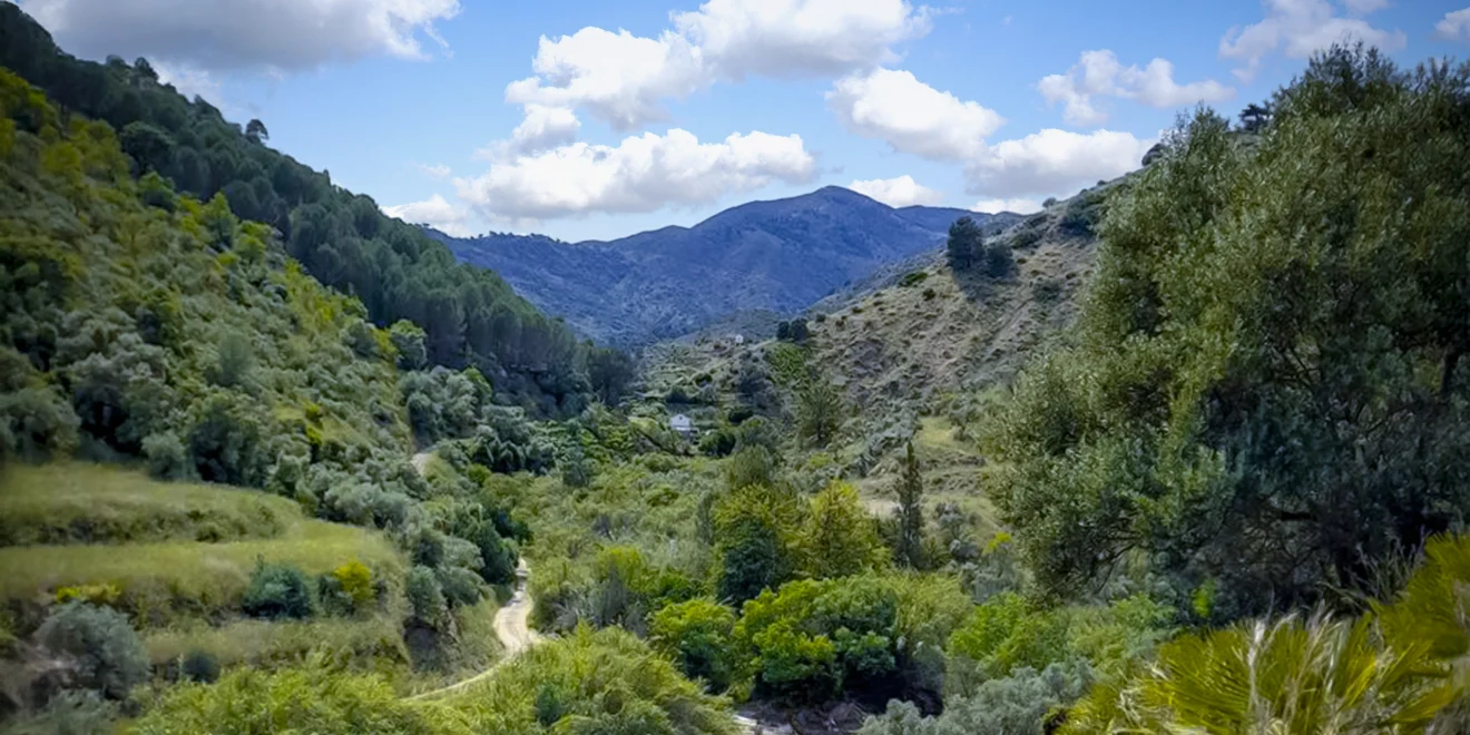 Confluencia entre el arroyo Gaimón y el arroyo Seco - Guaro