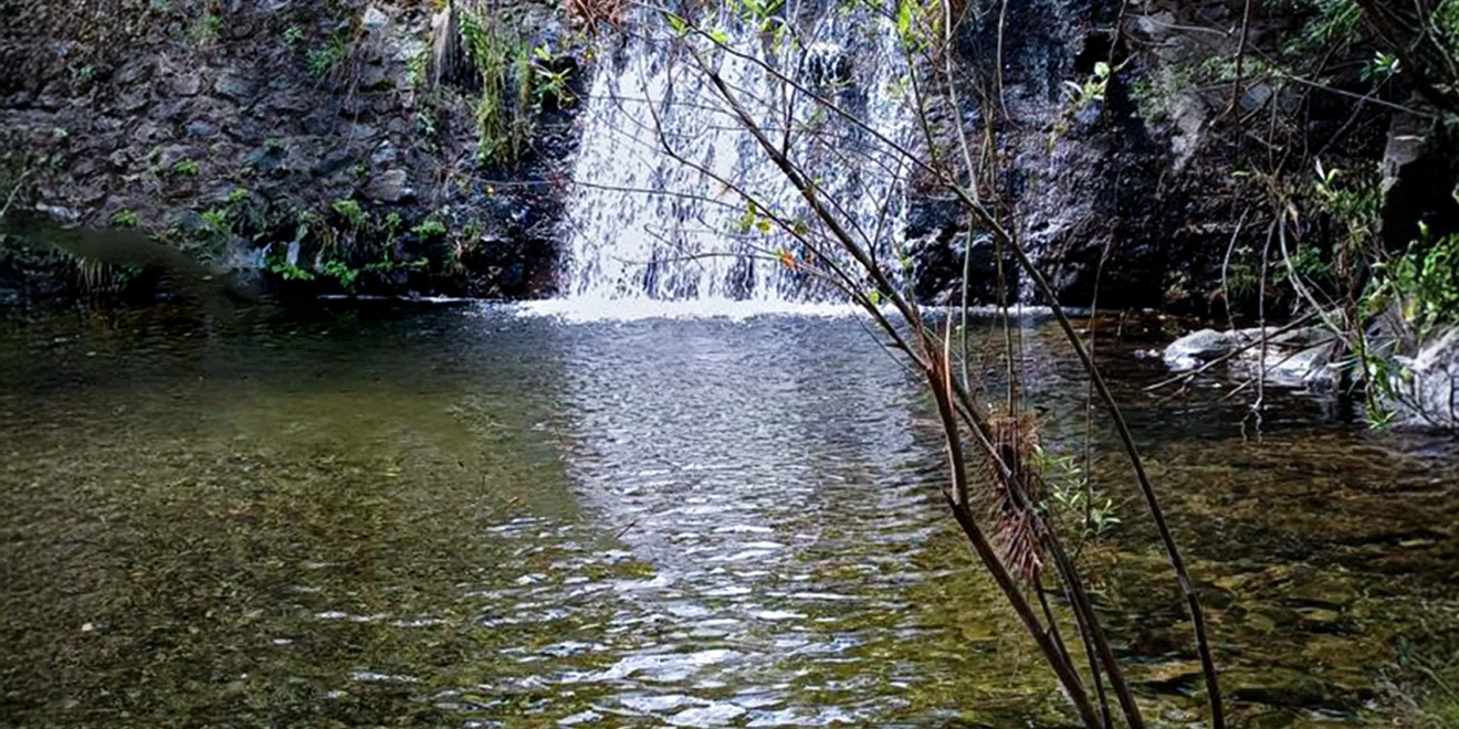 Dique Río de los Caballos