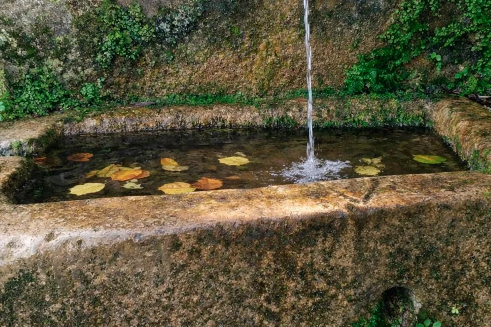 Fuente de los Morales