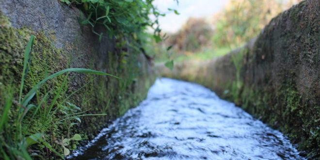 Acequia "El Coto"