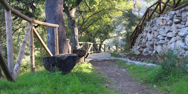 El Coto - Istán