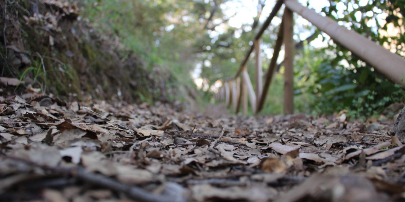El Coto "Otoño"