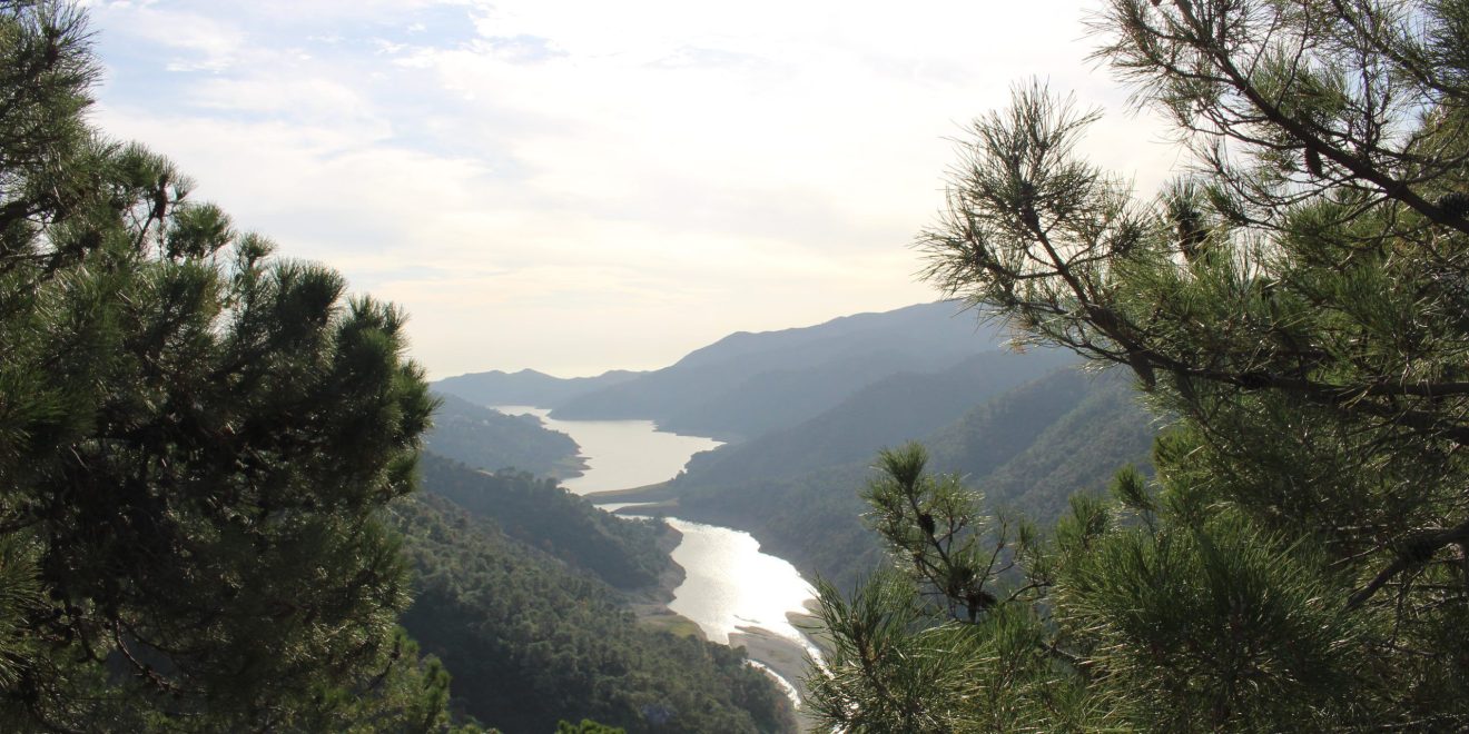 Embalse de la Concepción