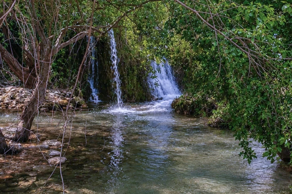 Nacimiento río Cañamero