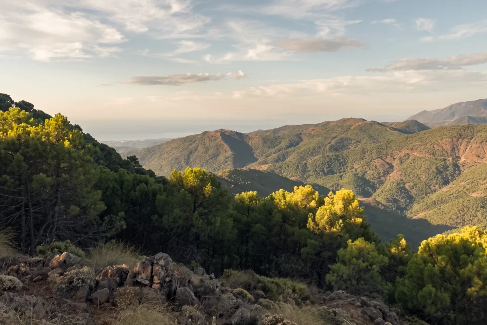 Panorámica desde Cerro de las Trincheruelas
