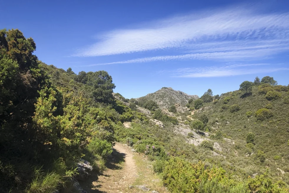 Paraje de El Pozuelo