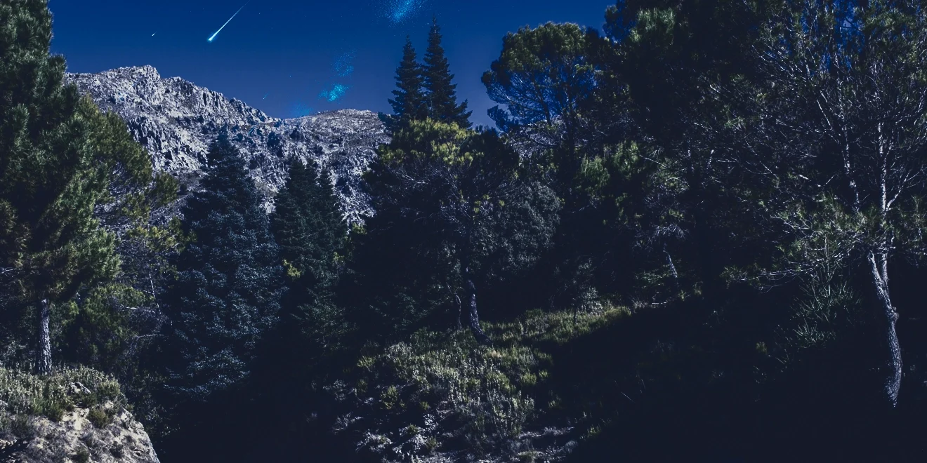 Pinsapar de la Escalereta