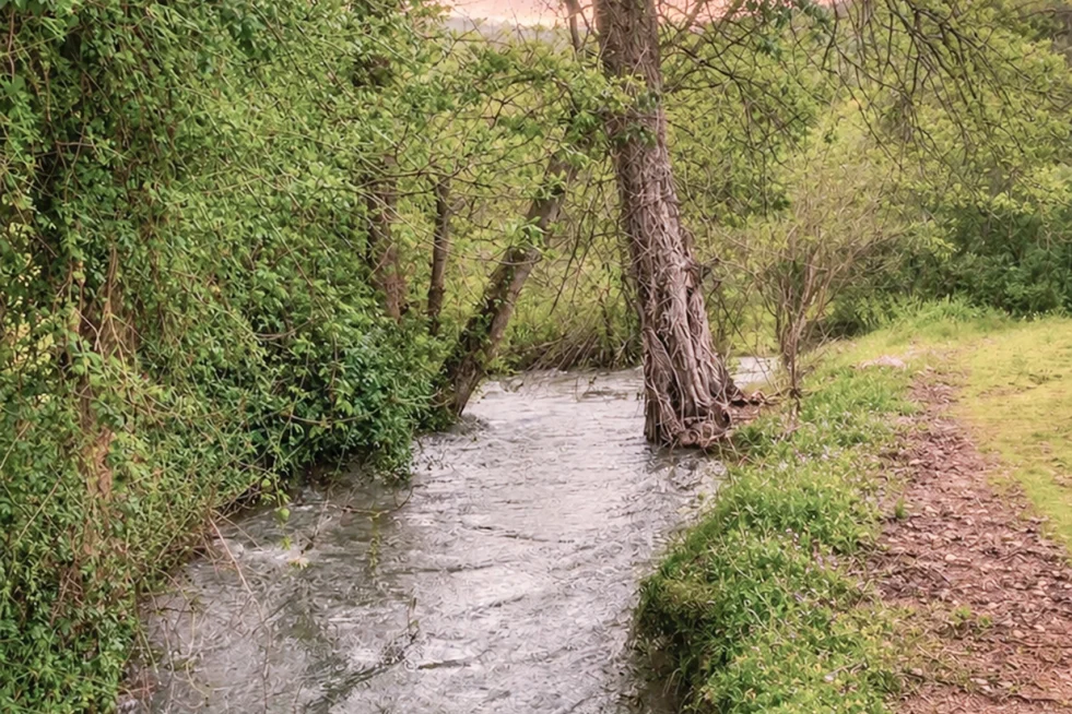 Río Cañamero