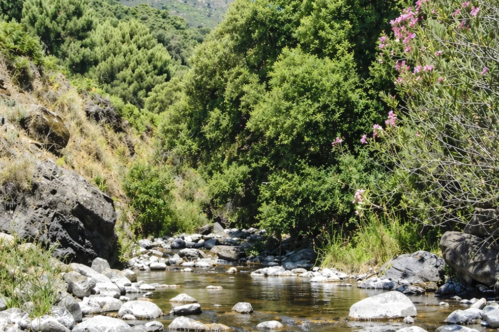 Río Guadaiza