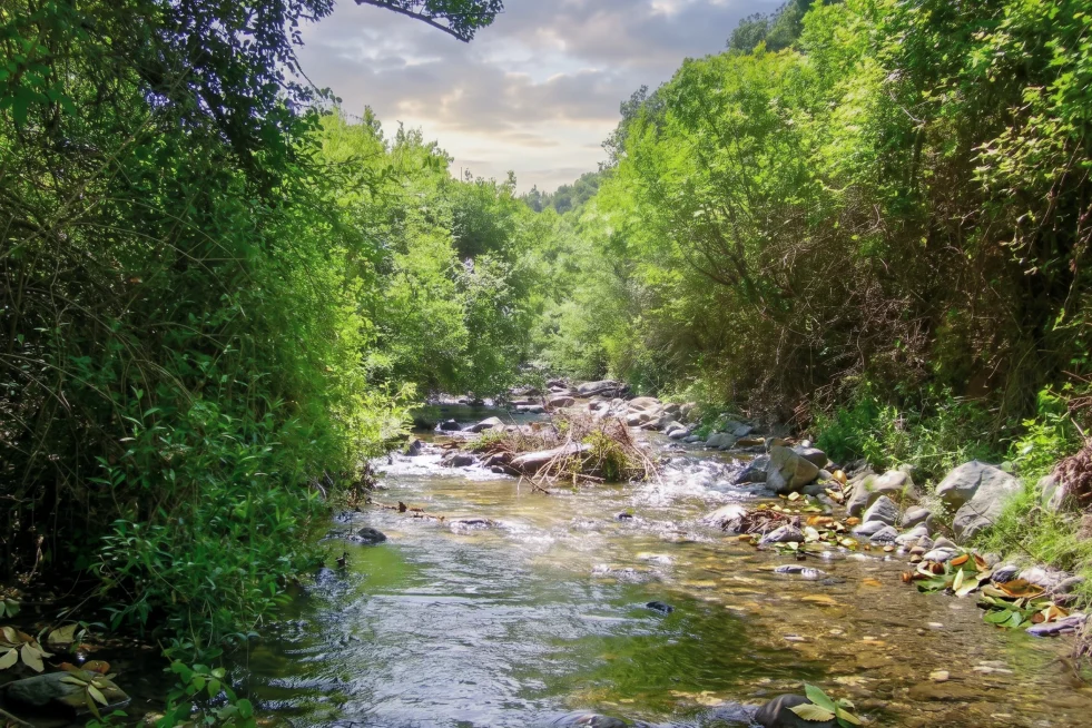 Rio Seco afluente del rio Genal