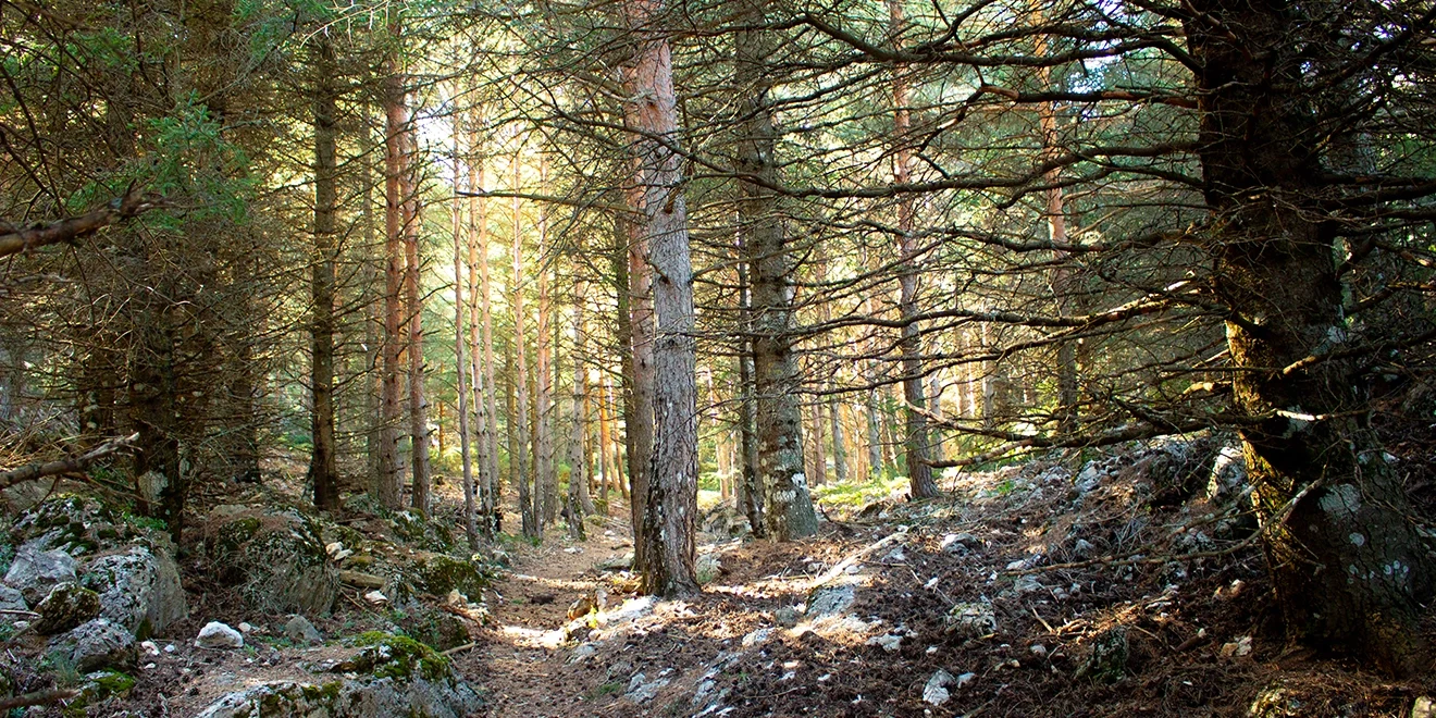 Rutas de RF Natura Ascensión al Peñon de Enamorados 4