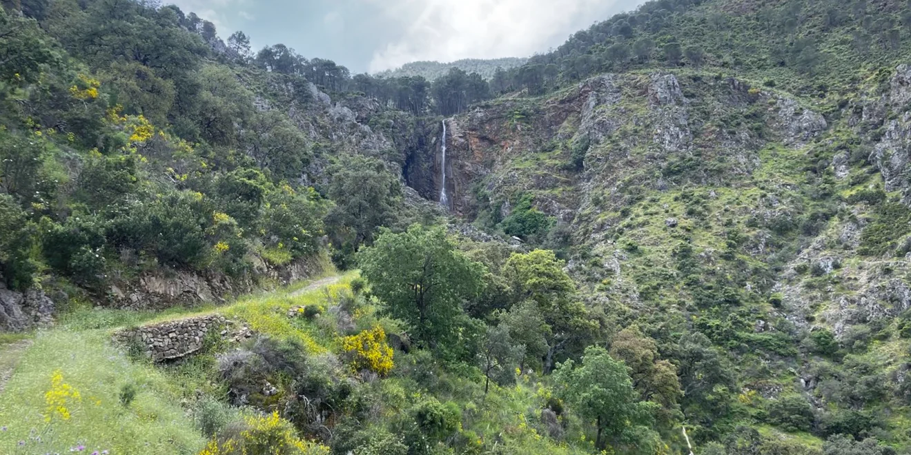 Salto de La Rejía