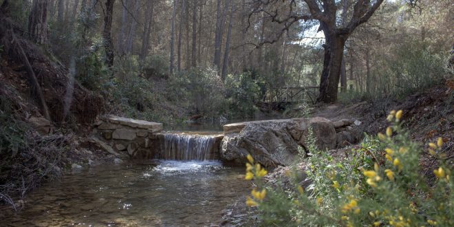 Sendero Paco Romero "El Forestal" - El Burgo, Sierra de las Nieves
